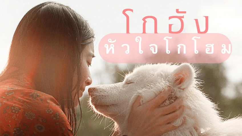 รีวิว โกฮัง หัวใจโกโฮม